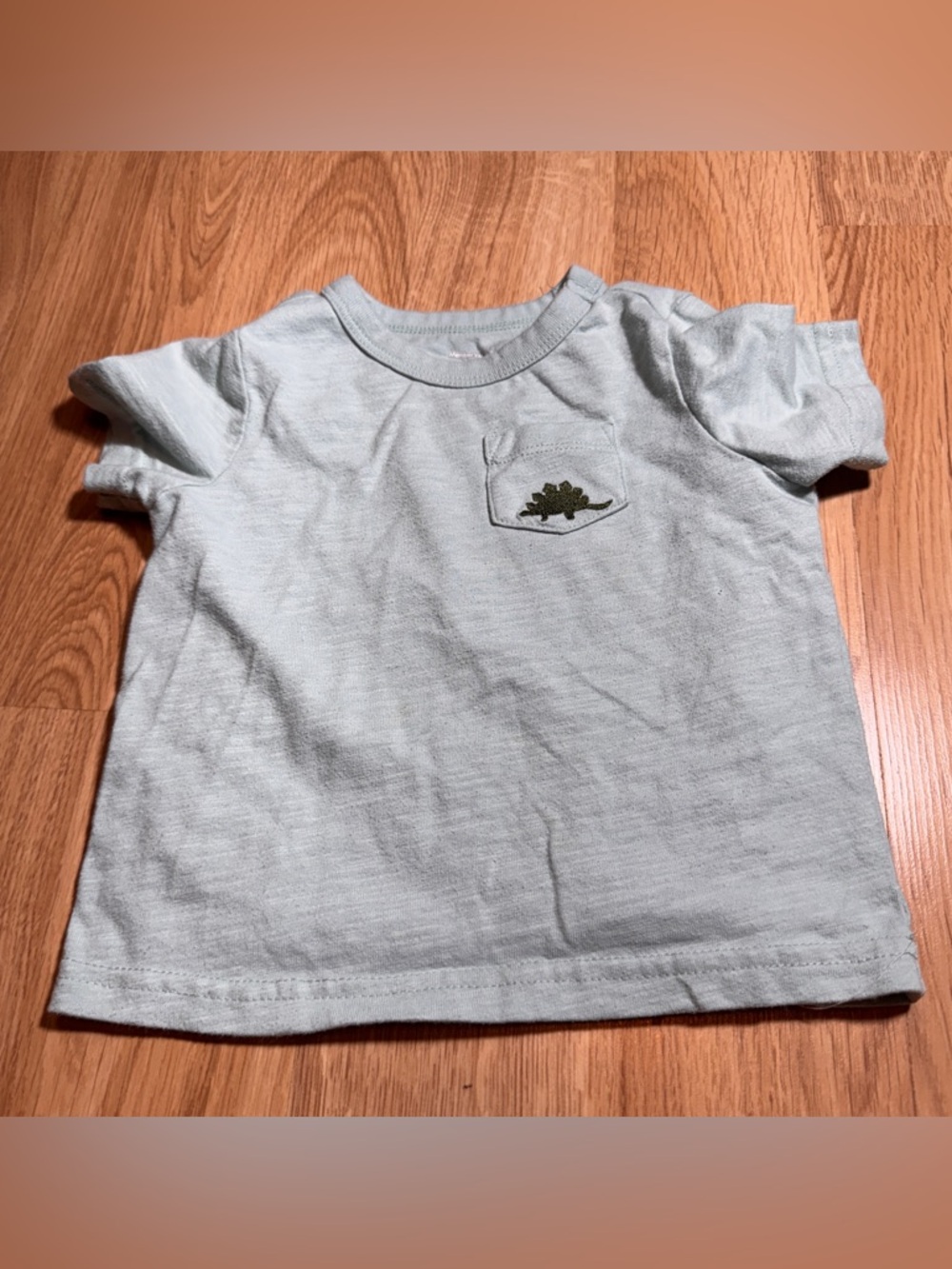 Source Unknown Light Blue Short Sleeve Kids Tee with Pocket Dino